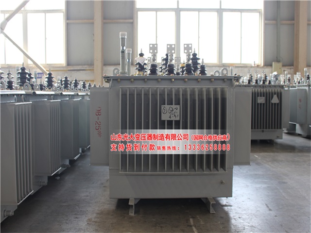 西安S22-4000KVA油浸式变压器